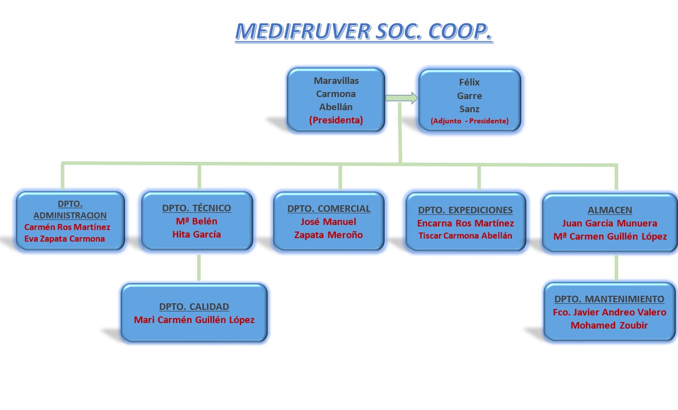 Organigrama Medifruver