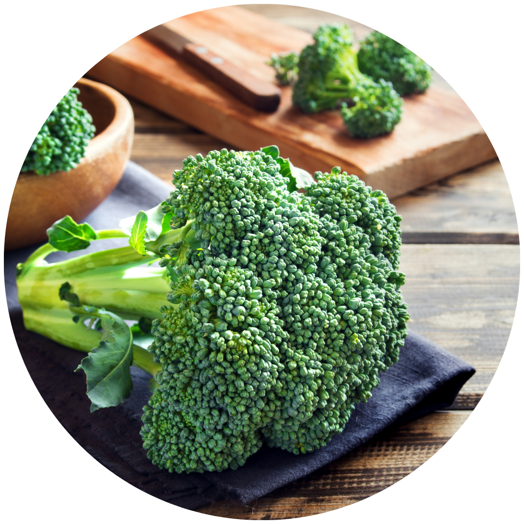 BROCOLI ARIES